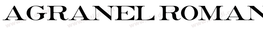 AGRANEL Roman字体转换